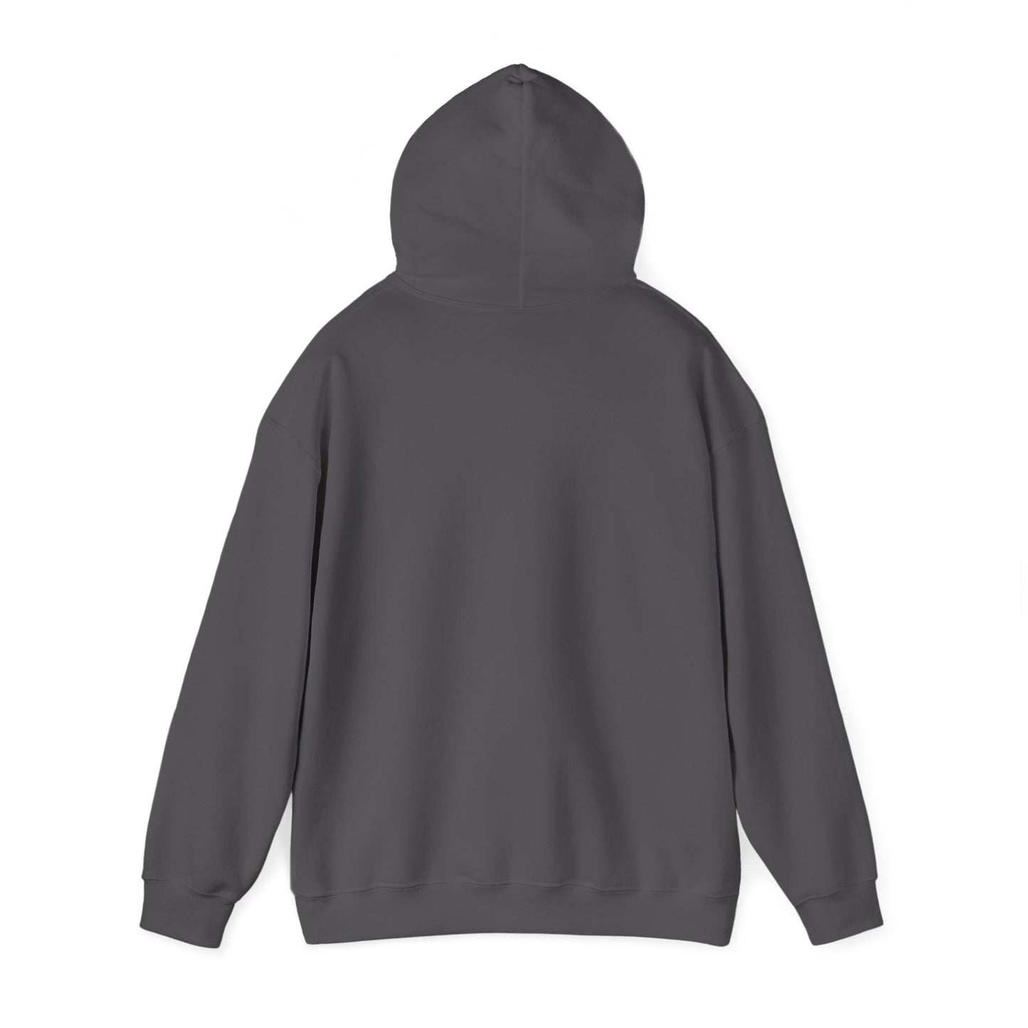 ME, MY BIASES, & MY BOOK BOYFRIENDS (blue) Hooded Sweatshirt