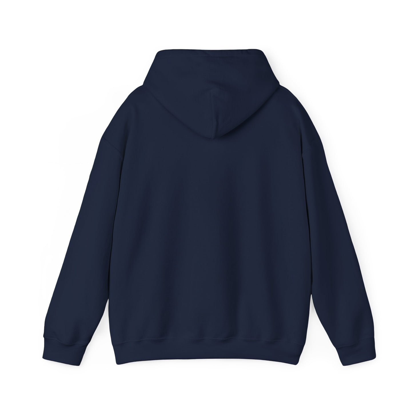 ME, MY BIASES, & MY BOOK BOYFRIENDS (blue) Hooded Sweatshirt