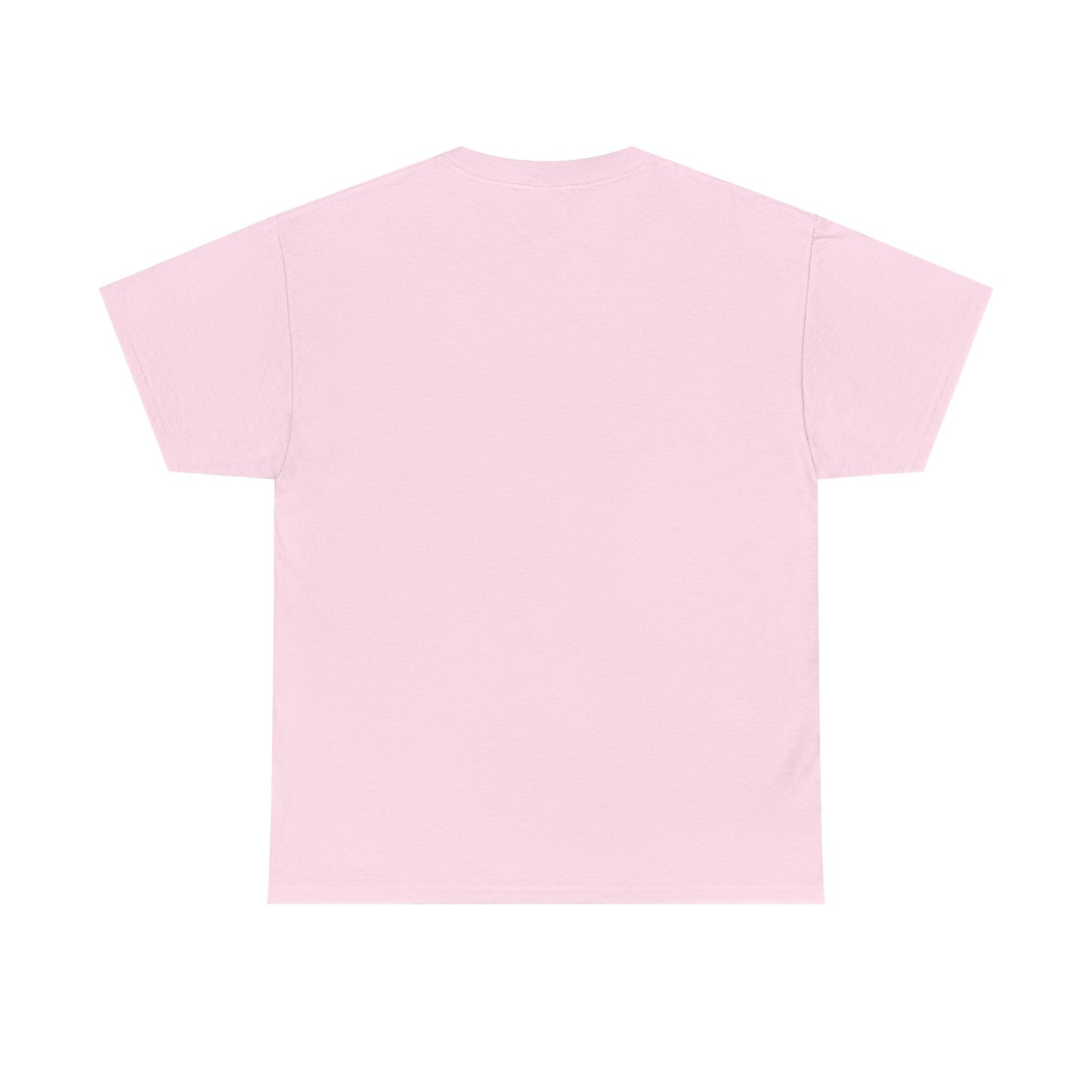 ME, MY BIASES, & MY BOOK BOYFRIENDS (pink) Heavy Cotton Tee