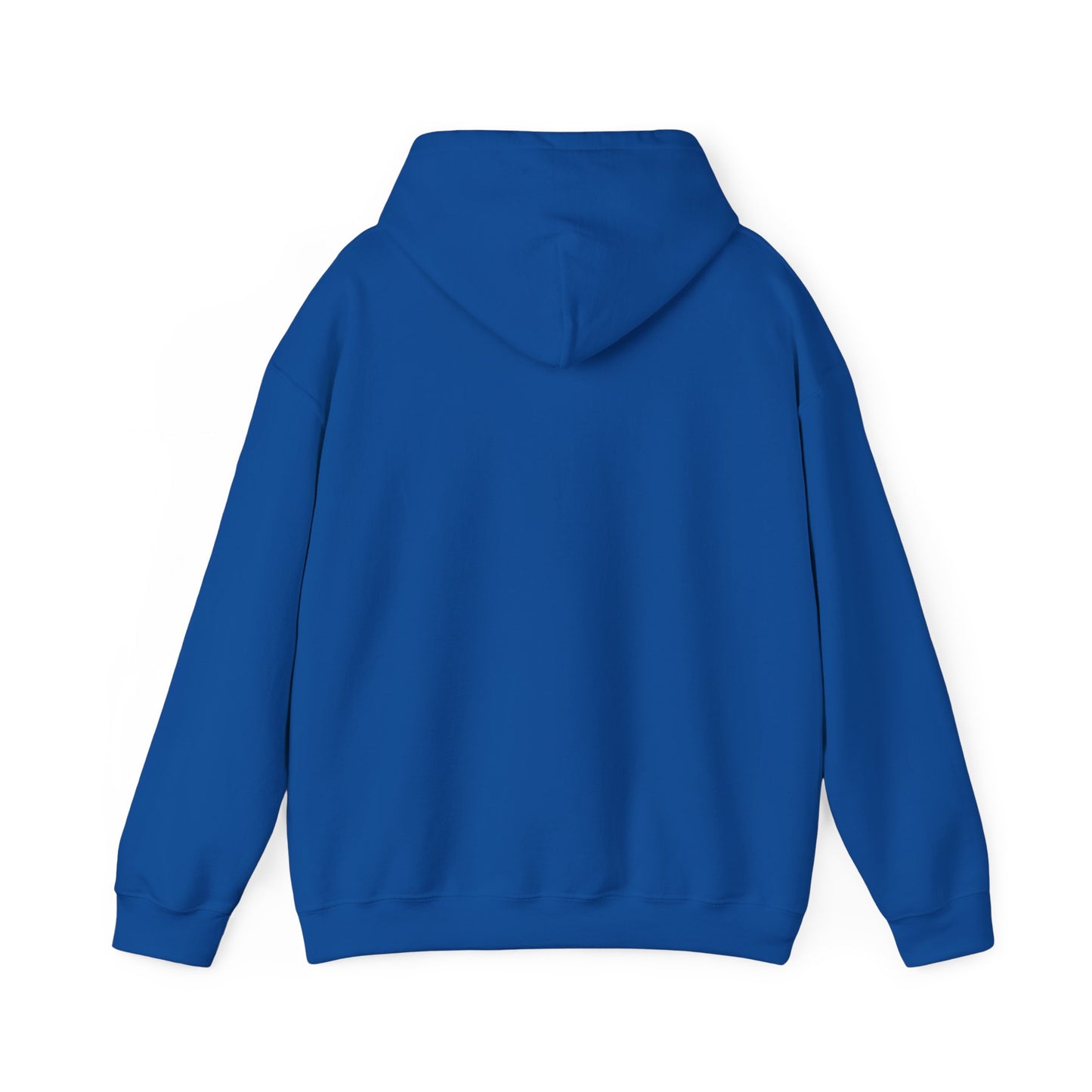 ME, MY BIASES, & MY BOOK BOYFRIENDS (colorful) Hooded Sweatshirt