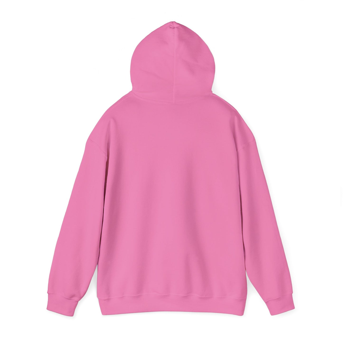 ME, MY BIASES, & MY BOOK BOYFRIENDS (blue) Hooded Sweatshirt