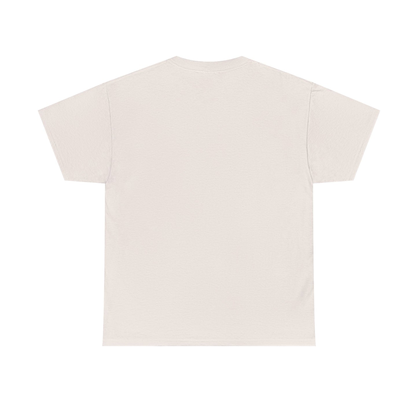 ME, MY BIASES, & MY BOOK BOYFRIENDS (pink) Heavy Cotton Tee