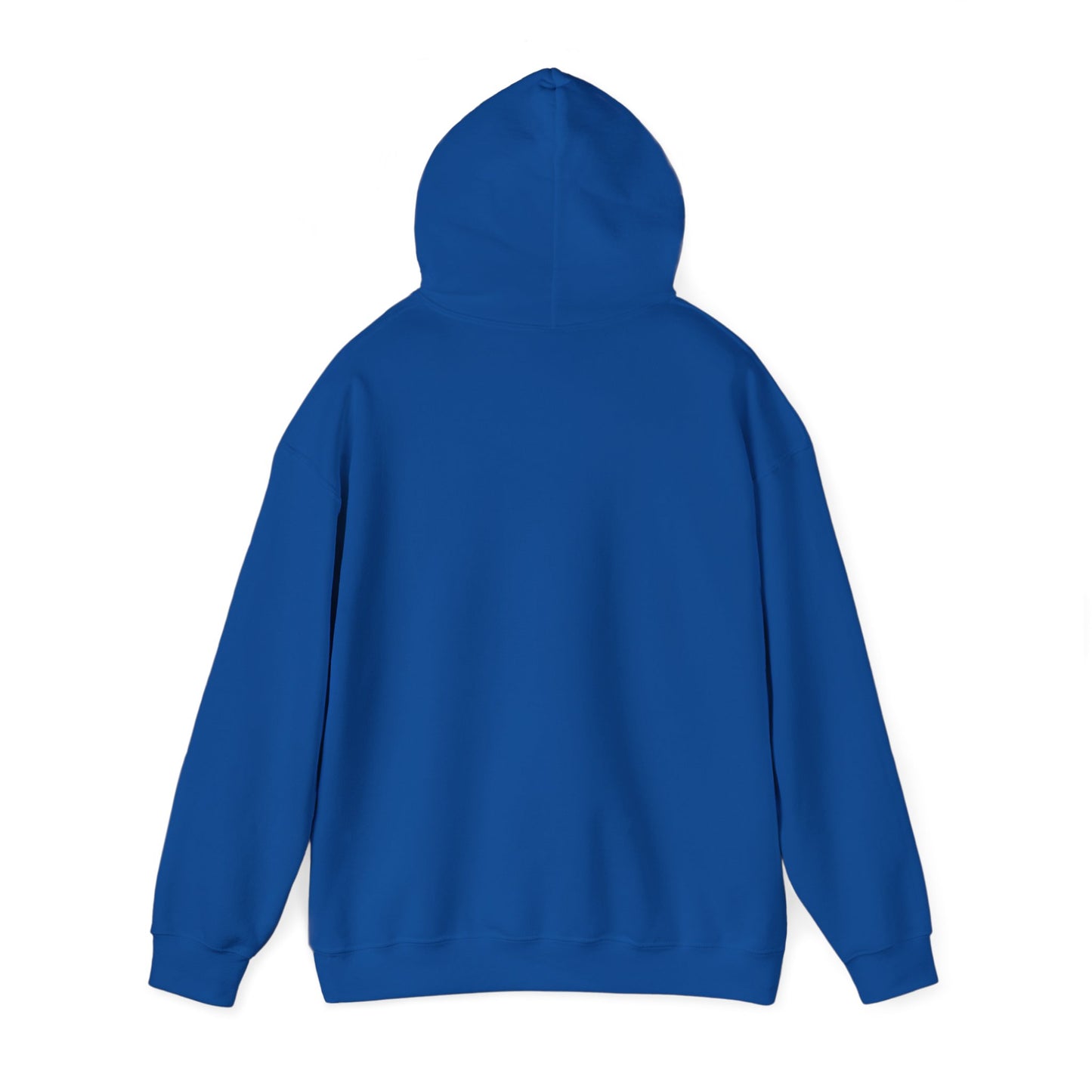 ME, MY BIASES, & MY BOOK BOYFRIENDS (colorful) Hooded Sweatshirt