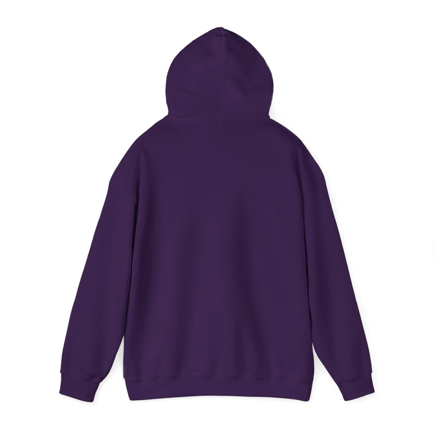 ME, MY BIASES, & MY BOOK BOYFRIENDS (colorful) Hooded Sweatshirt