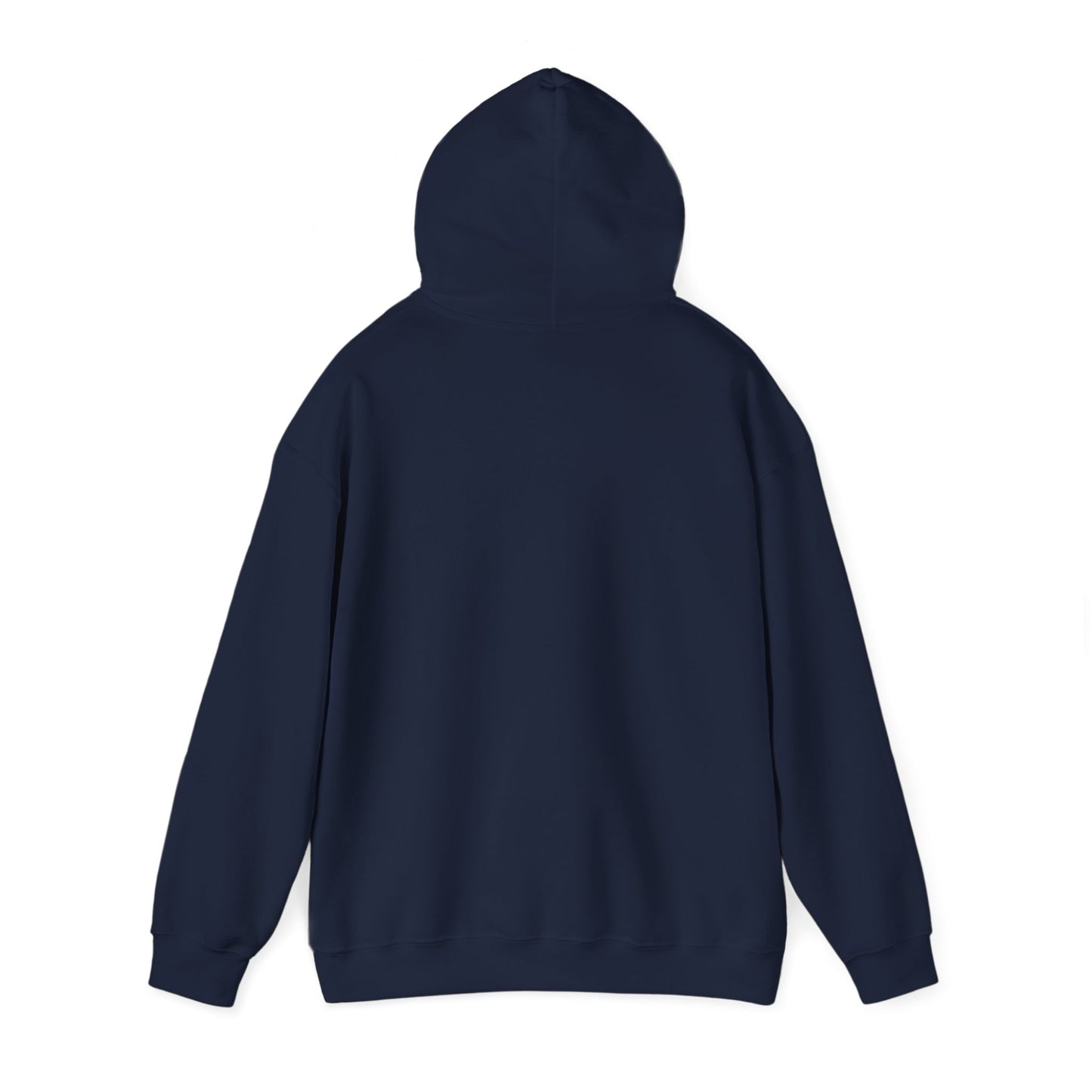ME, MY BIASES, & MY BOOK BOYFRIENDS (blue) Hooded Sweatshirt